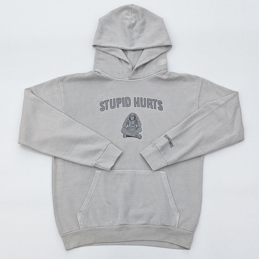 Stupid Hurts Hoodie (with logo)