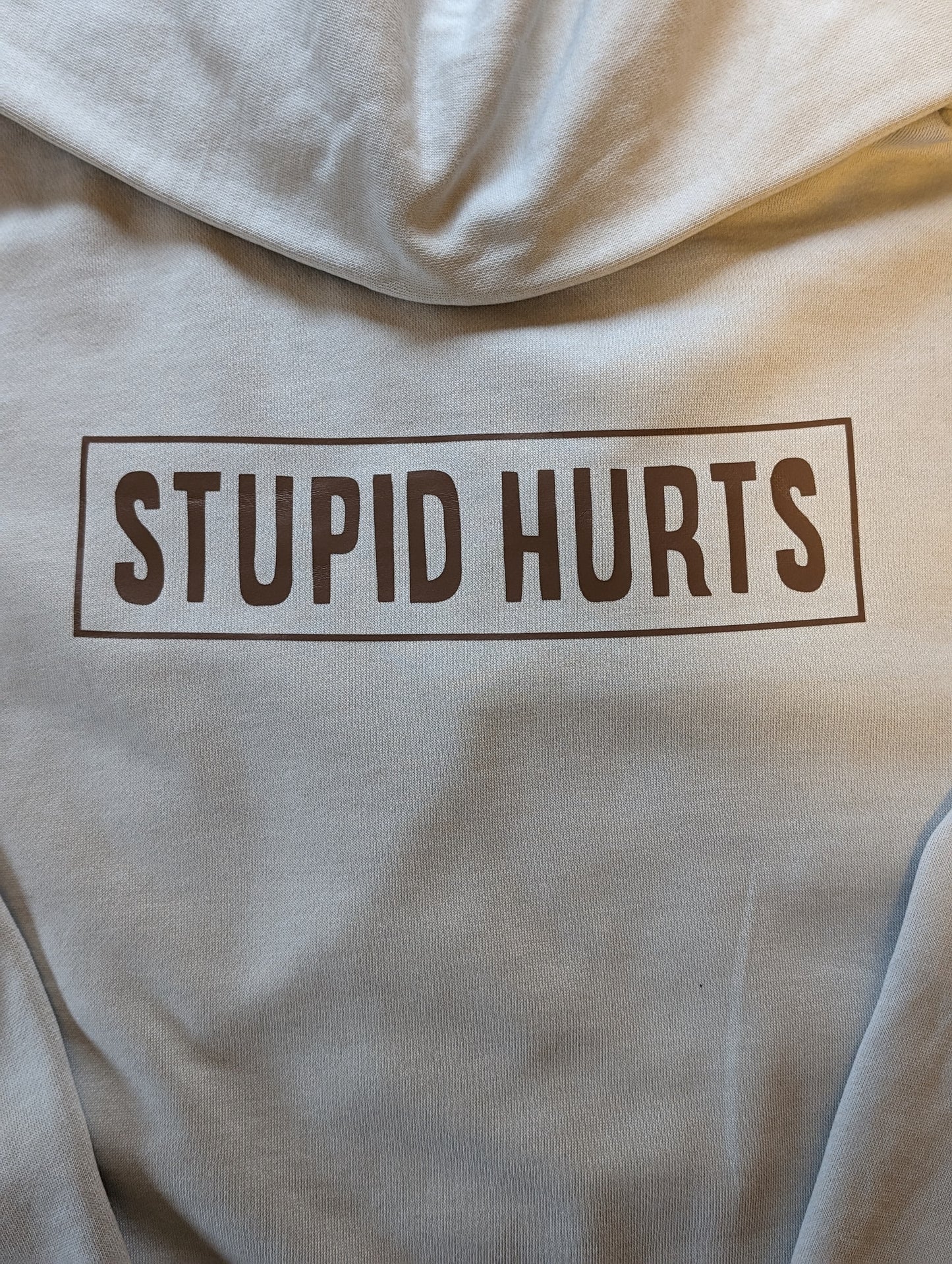 Stupid Hurts hoodie